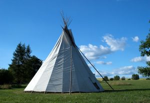 ayahuasca in europe
