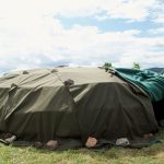 ayahuasca in europe