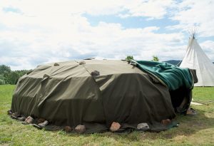 ayahuasca in europe