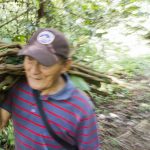 Curandero Harvest