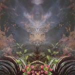 Is Ayahuasca Really Disappearing?