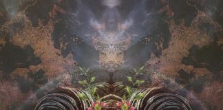 Is Ayahuasca Really Disappearing? chacruna.net