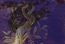 My Experience as a Brazilian at a Santo Daime Retreat in the United States