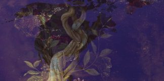 My Experience as a Brazilian at a Santo Daime Retreat in the United States