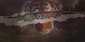 Cultural Appropriation and Misuse of Ancestral Yagé Medicine