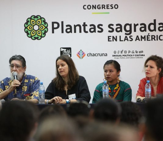 Territory, Roots and Conflict: Epistemic Encounters on Sacred Plants