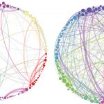 brain-networks