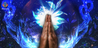 Statement on Ayahuasca