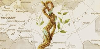 Brazilian Ayahuasca Practitioner Arrested and Sentenced to Prison in Russia
