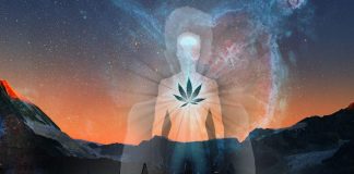 Using Cannabis to Treat the Effects of Trauma