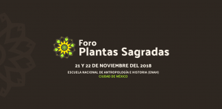 Sacred Plants Forum: Uses and Norms