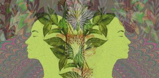 Healing and Knowledge with Amazonian Shamanic Diet