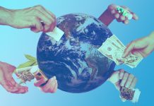 On Treading Lightly Through the Lion’s Den: The Path to Psychedelic Legitimacy