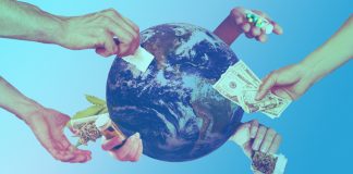 On Treading Lightly Through the Lion’s Den: The Path to Psychedelic Legitimacy