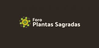 Press Release – Sacred Plants Forum: Uses and Norms