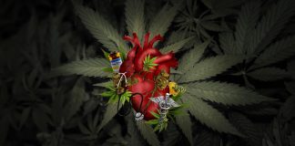 It’s Too Late For Cannabis, But What About the Future of the Psychedelic Industry?