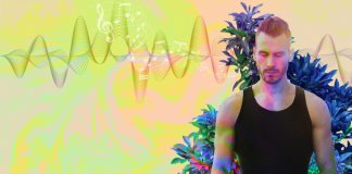 Introducing Chacruna’s Psychedelic Therapy Music Forum