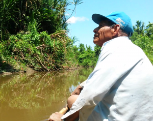 The Island: Recovering Self, Culture and Place through Plant Medicine ...