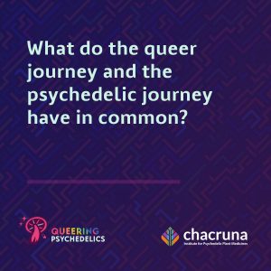 What do the queer journey and the psychedelic journey have in common?