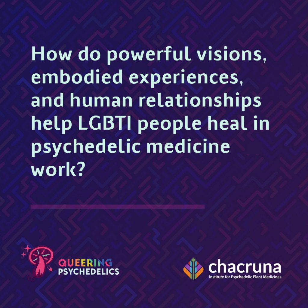 How do powerful visions embodied experiences and human relationships help LGBT people heal in psychedelic medicine work
