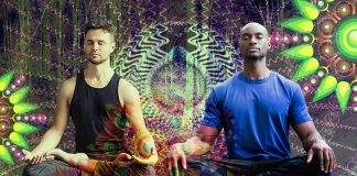 A Playlist for Psilocybin by Kelan Thomas