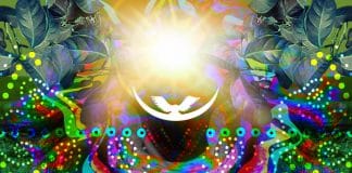 Am I a Sectarian Drug User? A Brief Legal Comment on the Religious Use of Ayahuasca in Brazil, Belgium and the Netherlands