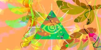 Ayahuasca and the Twelve Steps: An Anonymous Friendship