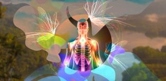 Curing an Incurable Disease in the Amazon Jungle