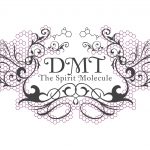 DMT_logo