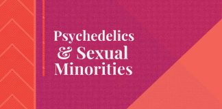 Psychedelics and Sexual Minorities