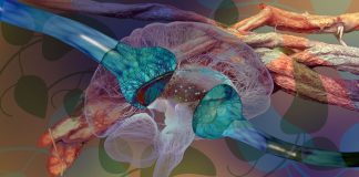 A Clinical Psychologist’s First Experience with Ayahuasca