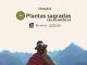 Sacred Plants in the Americas I