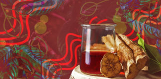 Is Ayahuasca a “Drug”?