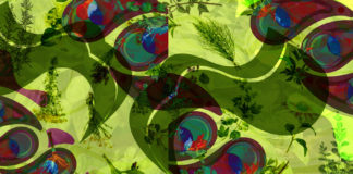 Beyond Prohibition of Plant Medicines