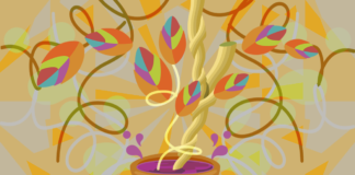 The Commodification of Ayahuasca: How Can we do Better?