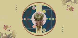 Peyote Harvesting Guidelines