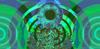 Personal Healing with Ayahuasca Helped Me Be a Better Psychotherapist