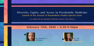 Diversity, Equity, and Access in Psychedelic Medicine