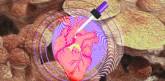 Why Chronic Microdosing Might Break Your Heart