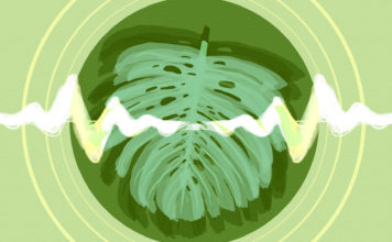 The Greater Mysteries of Plant Music