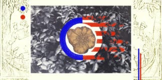 How Can You Drink Ayahuasca Legally in the U.S.?