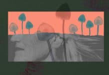 Will Psilocybin Decriminalization Expand in 2020? Psilocybin Initiatives in Denver, Oakland, Chicago, California, and Oregon