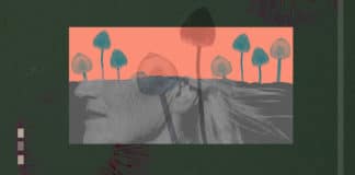 Will Psilocybin Decriminalization Expand in 2020? Psilocybin Initiatives in Denver, Oakland, Chicago, California, and Oregon