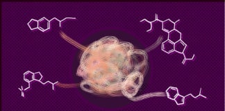 Special Issue on Diversity, Equity, and Access in Psychedelic Medicine