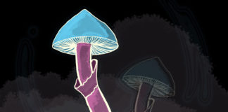 Proposed Language for California Statewide Psilocybin Decriminalization Bill