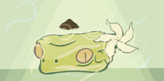 Kambô, Rapé and Sananga: A Reset on Body, Mind and Vision