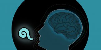 Integration: The Upside of Coming Down – Debriefing, Disrupting & Dark Journeys