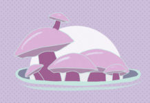 Myths and Realities About the Decriminalization of Psychedelics in the US