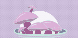 Myths and Realities About the Decriminalization of Psychedelics in the US