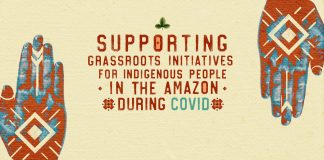 Supporting Grassroots Initiatives for Indigenous People in the Amazon during COVID